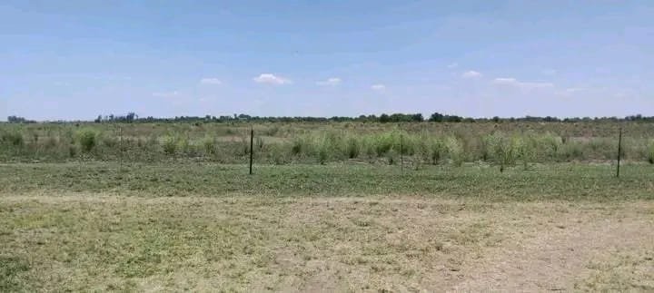 Commercial Property for Sale in Koppies Free State